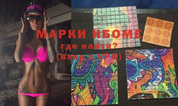 стаф Каменногорск