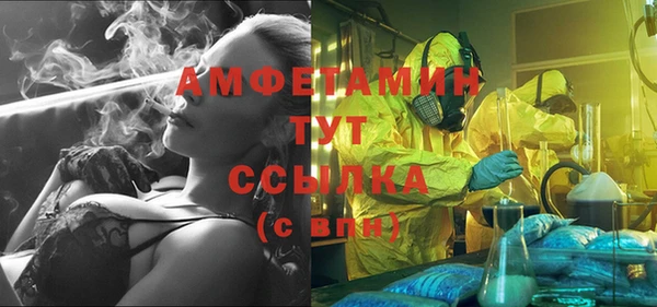 ешки Алексин