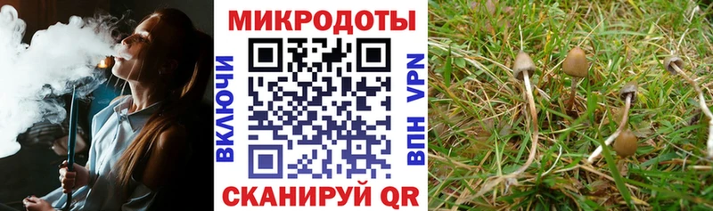 Псилоцибиновые грибы Magic Shrooms  Орехово-Зуево 
